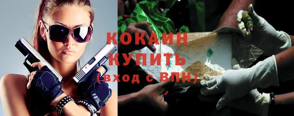 гидра Алзамай