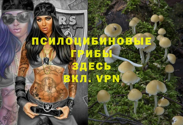 наркотики Алексин