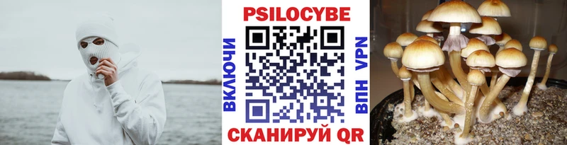 закладка  mega онион  Галлюциногенные грибы Psilocybine cubensis  Артёмовск 
